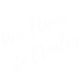 Aux Fleurs de l'Enclos - Artisan Fleuriste à Pleyben - Logo blanc