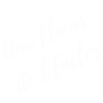 Aux Fleurs de l'Enclos - Artisan Fleuriste à Pleyben - Logo blanc