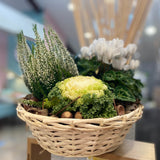 Basketry of Plants (round)