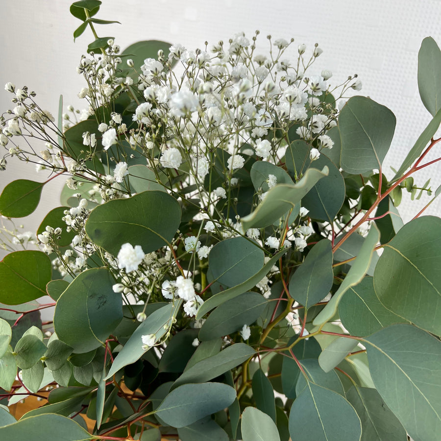 Verdure éternelle