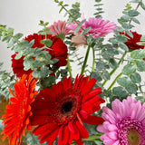 Été coloré