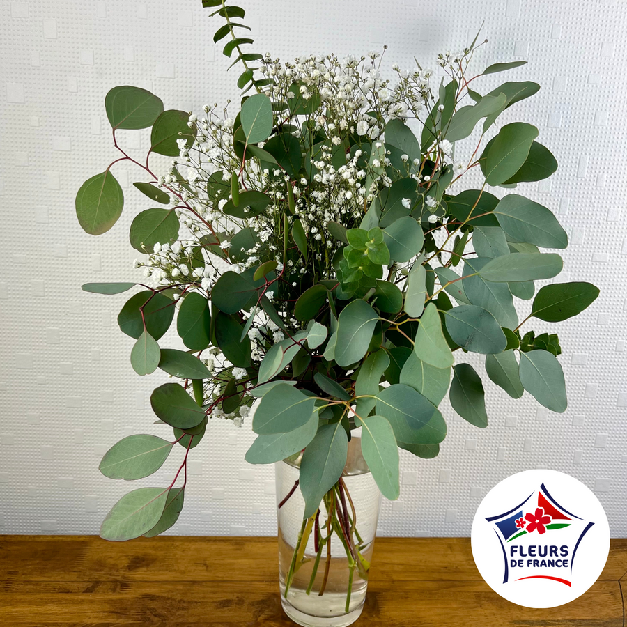 Livraison Bouquet de d'Eucalyptus et Gypsophiles à Pleyben 